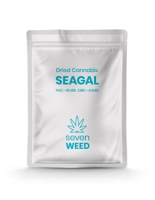 Seagal