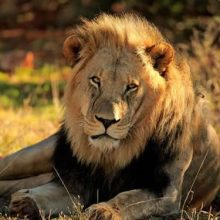 Self Drive Uganda Destinations