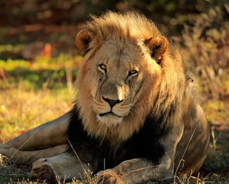 Self Drive Uganda Destinations