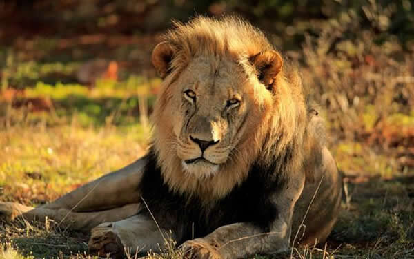 Destinations in Uganda Self Drive Uganda Destinations