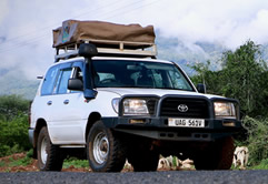 Land Cruiser GX Hire in Uganda