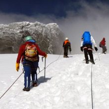 Rwenzori Trek