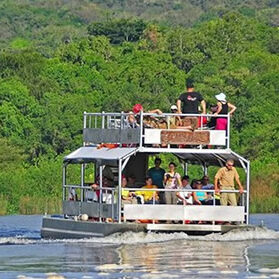 11 Days Wildlife and Gorilla Tour Uganda