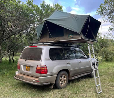 Landcruiser V8 with rooftop tent