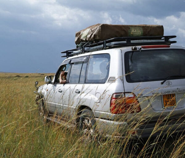 Landcruiser v8