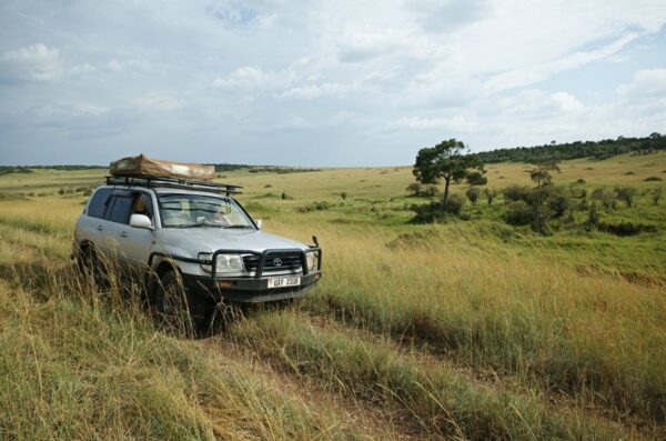 Landcruiser v8