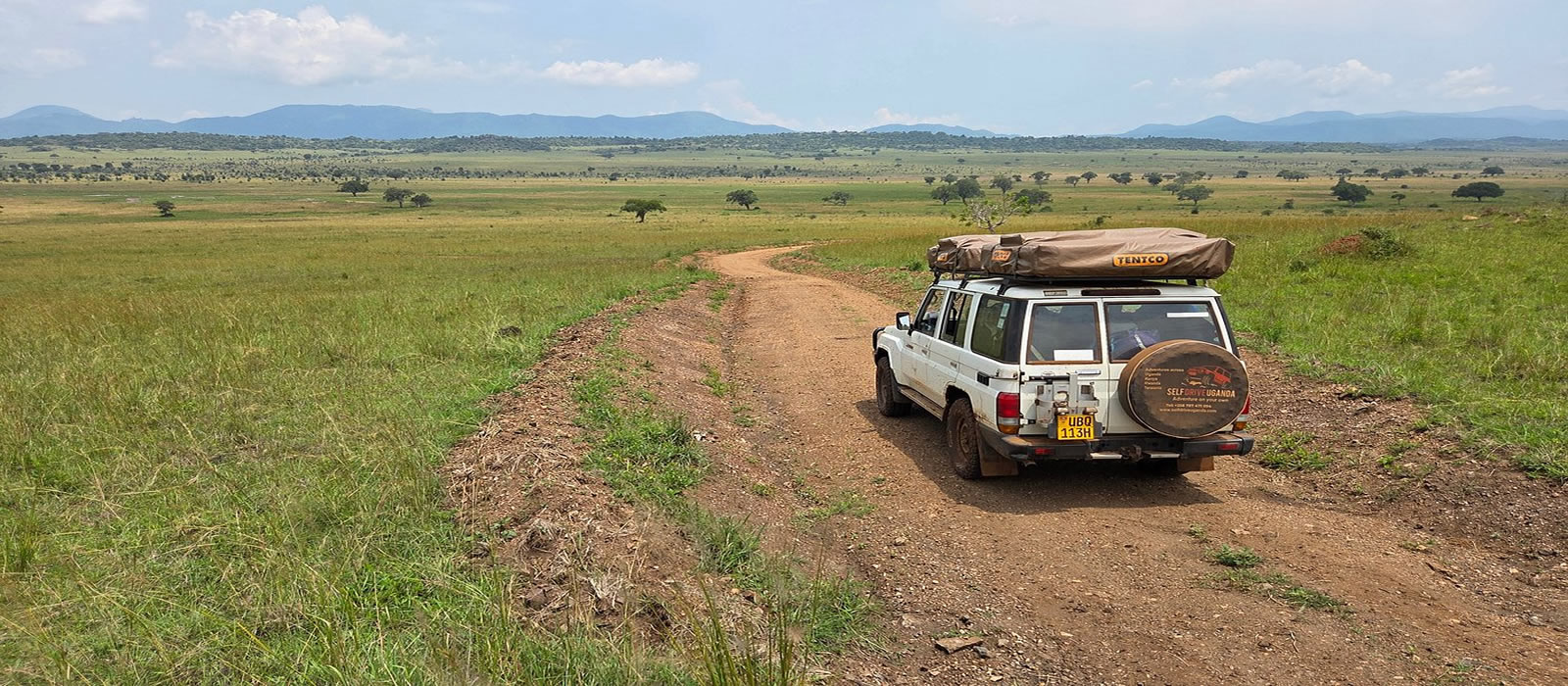 Drive through Uganda's lush green landscape to Bwindi